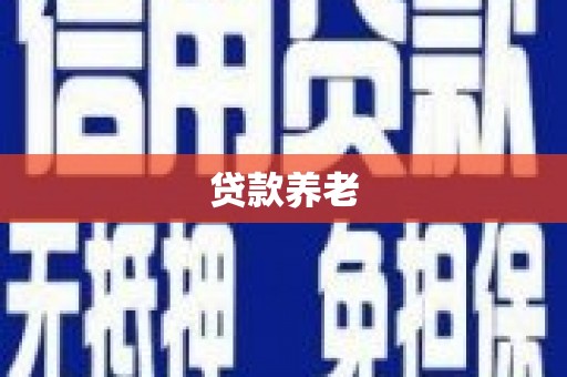 湖西贷款养老