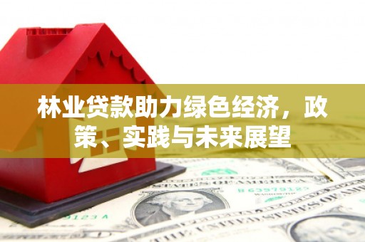 湖西林业贷款助力绿色经济，政策、实践与未来展望