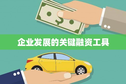 湖西企业发展的关键融资工具