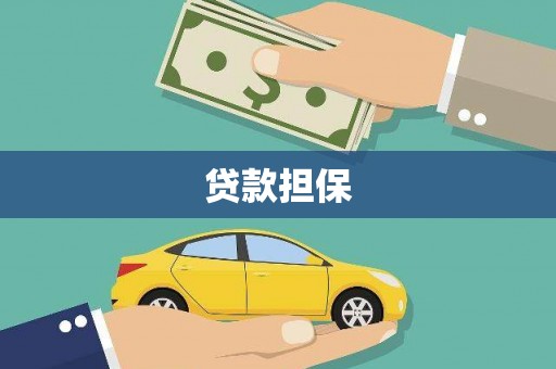 湖西贷款担保