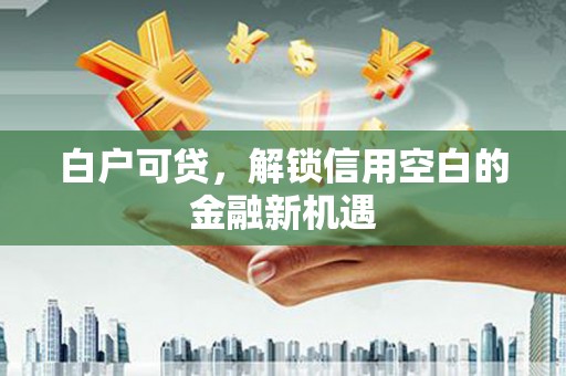 湖西白户可贷，解锁信用空白的金融新机遇