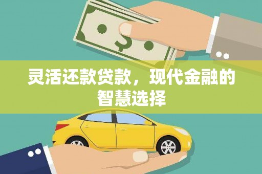 湖西灵活还款贷款，现代金融的智慧选择