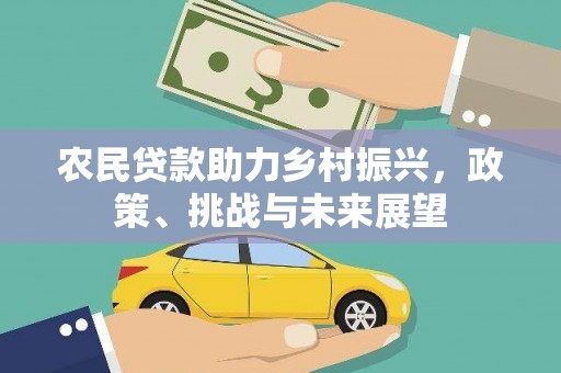 湖西农民贷款助力乡村振兴，政策、挑战与未来展望