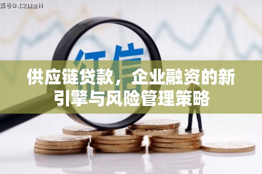 湖西供应链贷款，企业融资的新引擎与风险管理策略