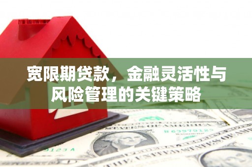 湖西宽限期贷款，金融灵活性与风险管理的关键策略