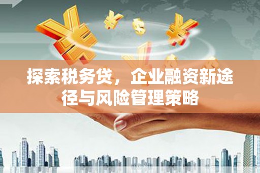 湖西探索税务贷，企业融资新途径与风险管理策略