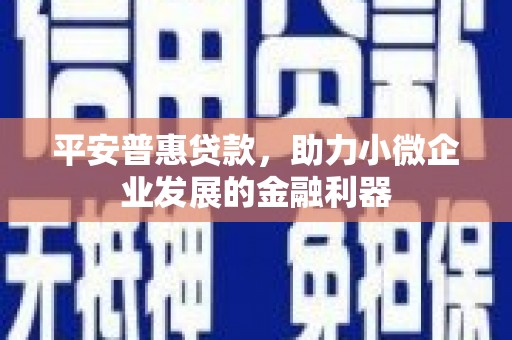 湖西平安普惠贷款，助力小微企业发展的金融利器
