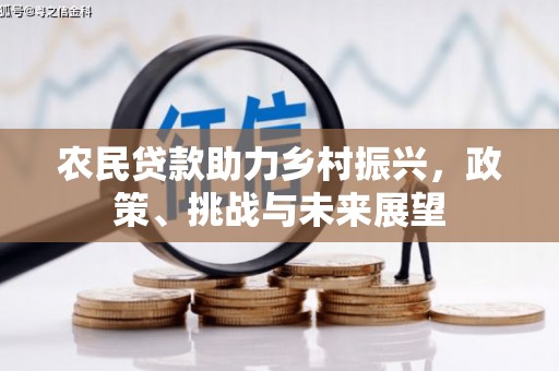 湖西农民贷款助力乡村振兴，政策、挑战与未来展望