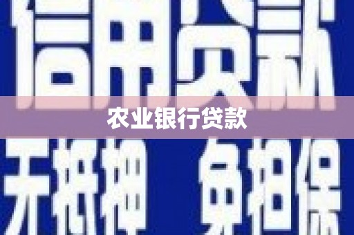 湖西农业银行贷款