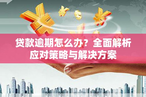 湖西贷款逾期怎么办？全面解析应对策略与解决方案