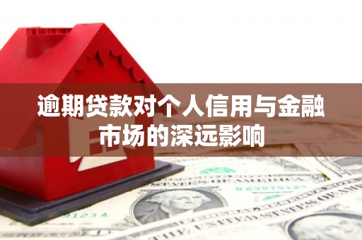 湖西逾期贷款对个人信用与金融市场的深远影响