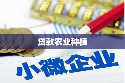 湖西贷款农业种植