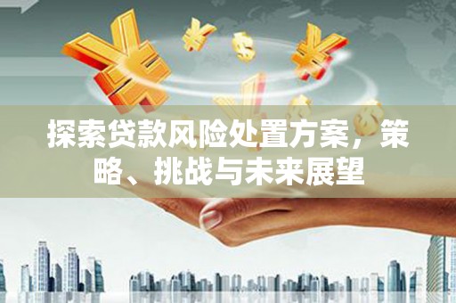 湖西探索贷款风险处置方案，策略、挑战与未来展望