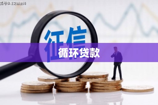 湖西循环贷款