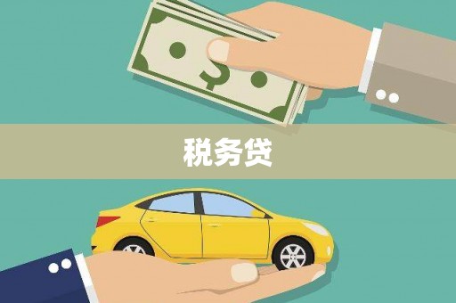 湖西税务贷