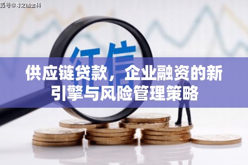 湖西供应链贷款，企业融资的新引擎与风险管理策略