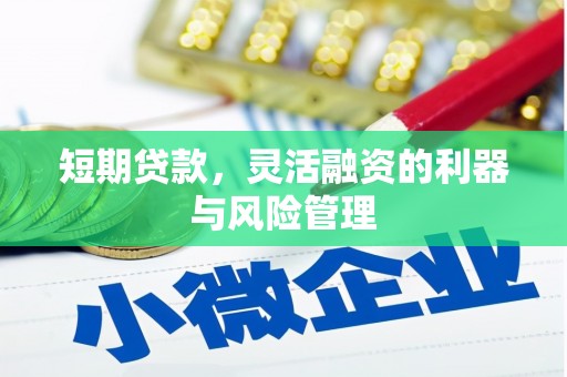 湖西短期贷款，灵活融资的利器与风险管理