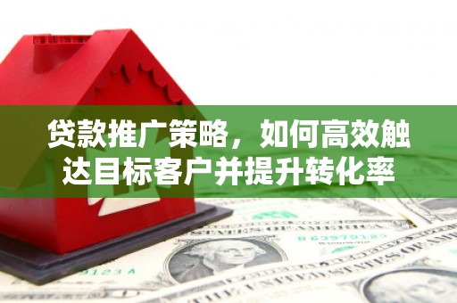 湖西贷款推广策略，如何高效触达目标客户并提升转化率