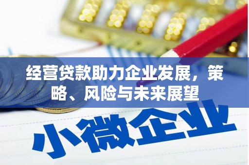 湖西经营贷款助力企业发展，策略、风险与未来展望