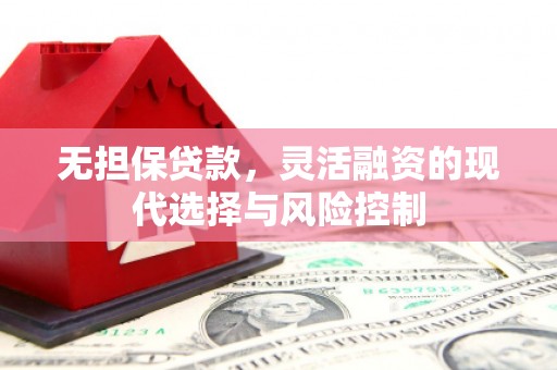 湖西无担保贷款，灵活融资的现代选择与风险控制
