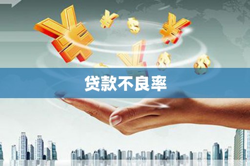 湖西贷款不良率