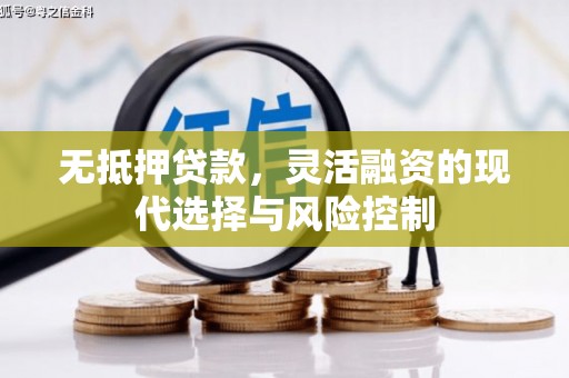 湖西无抵押贷款，灵活融资的现代选择与风险控制