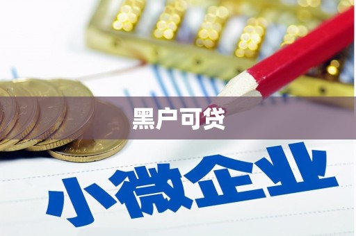湖西黑户可贷
