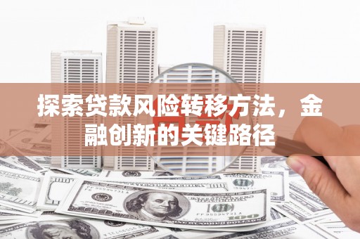 湖西探索贷款风险转移方法，金融创新的关键路径