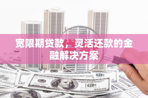 湖西宽限期贷款，灵活还款的金融解决方案