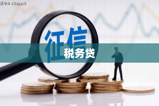 湖西税务贷