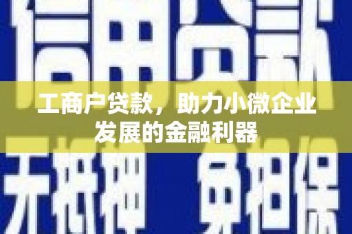 湖西工商户贷款，助力小微企业发展的金融利器