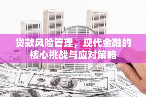 湖西贷款风险管理，现代金融的核心挑战与应对策略