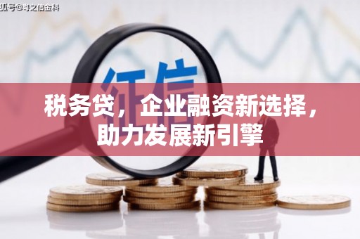 湖西税务贷，企业融资新选择，助力发展新引擎