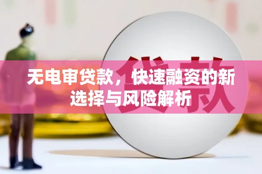 湖西无电审贷款，快速融资的新选择与风险解析