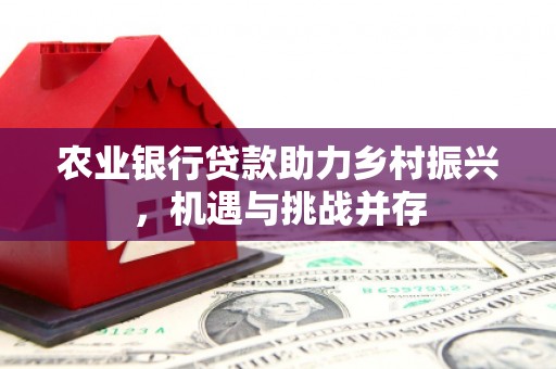 湖西农业银行贷款助力乡村振兴，机遇与挑战并存