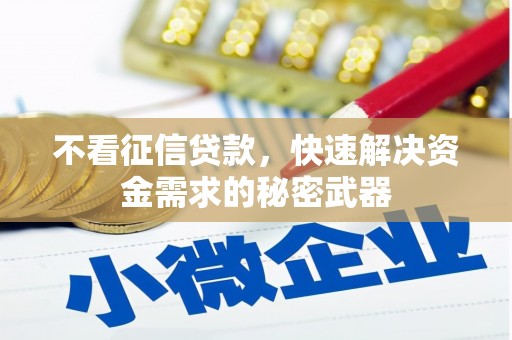 湖西不看征信贷款，快速解决资金需求的秘密武器