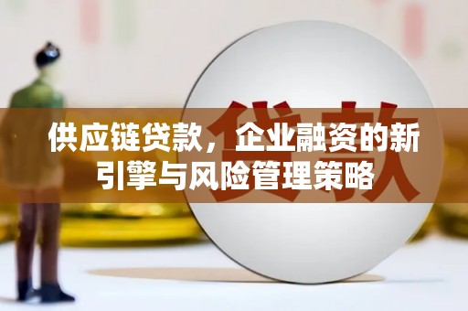 湖西供应链贷款，企业融资的新引擎与风险管理策略