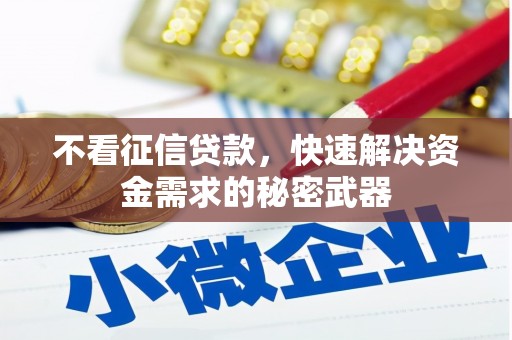 湖西不看征信贷款，快速解决资金需求的秘密武器
