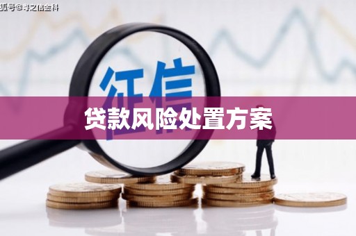 湖西贷款风险处置方案