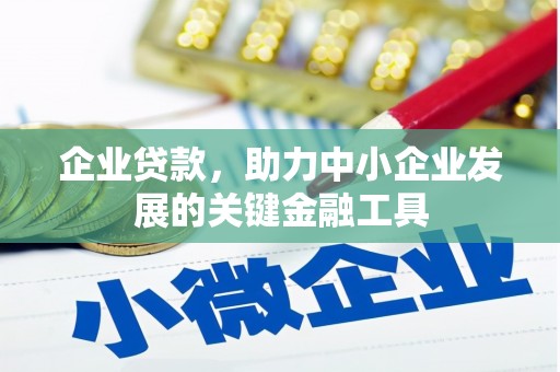 湖西企业贷款，助力中小企业发展的关键金融工具
