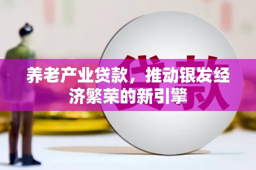 湖西养老产业贷款，推动银发经济繁荣的新引擎