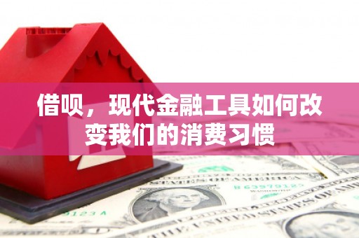 湖西借呗，现代金融工具如何改变我们的消费习惯