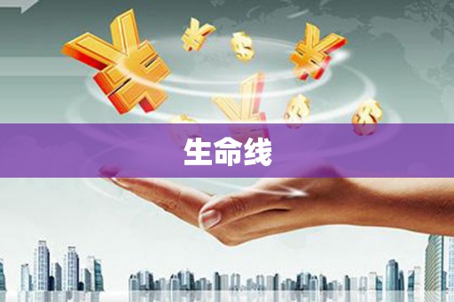湖西生命线