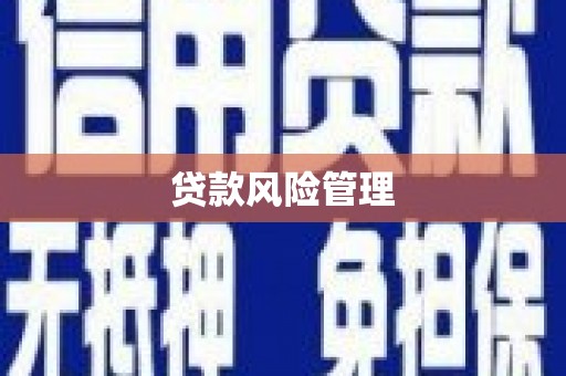 湖西贷款风险管理