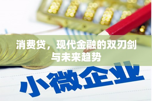 湖西消费贷，现代金融的双刃剑与未来趋势
