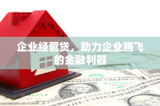 湖西企业经营贷，助力企业腾飞的金融利器