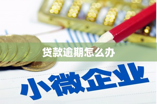 湖西贷款逾期怎么办