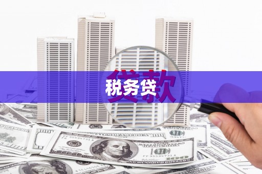 湖西税务贷