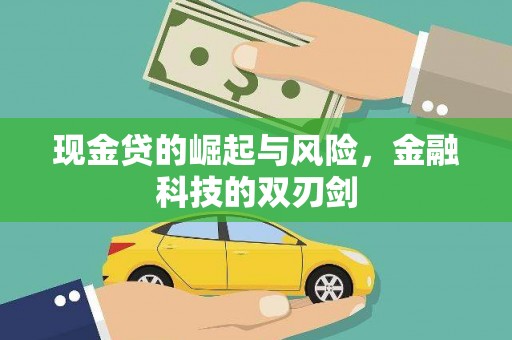 湖西现金贷的崛起与风险，金融科技的双刃剑