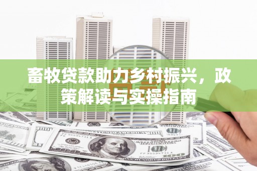 湖西畜牧贷款助力乡村振兴，政策解读与实操指南